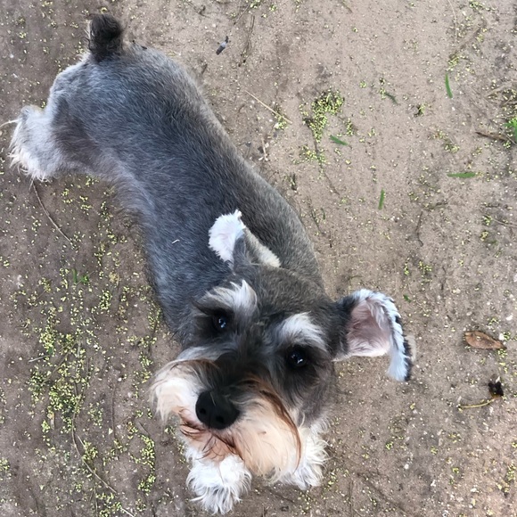 Meet your Posher, Alison - Picture 1 of 1